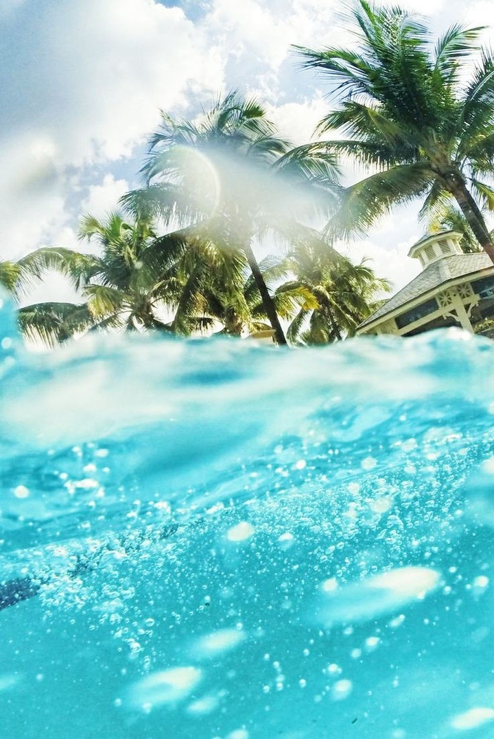 Paradise