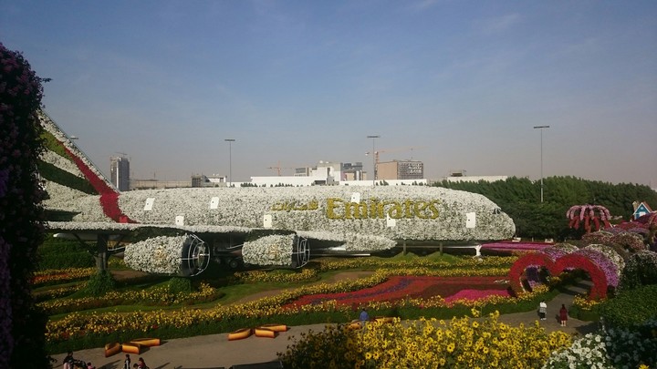 Miracle Garden