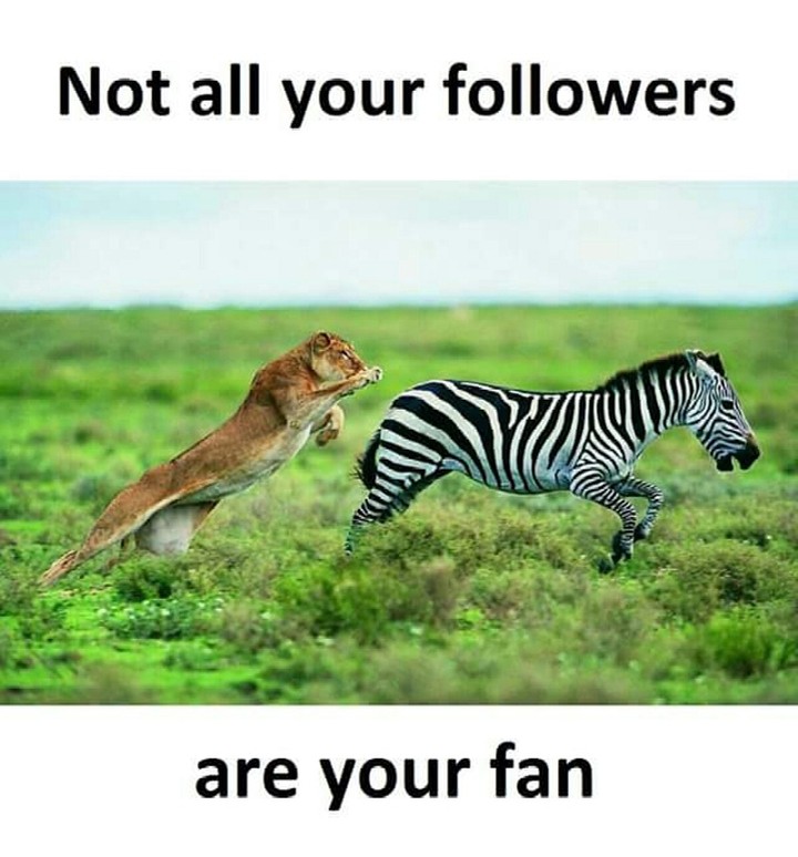 I'm realising it