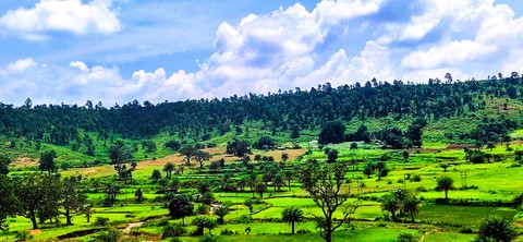 nature