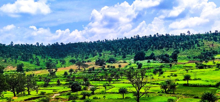 nature