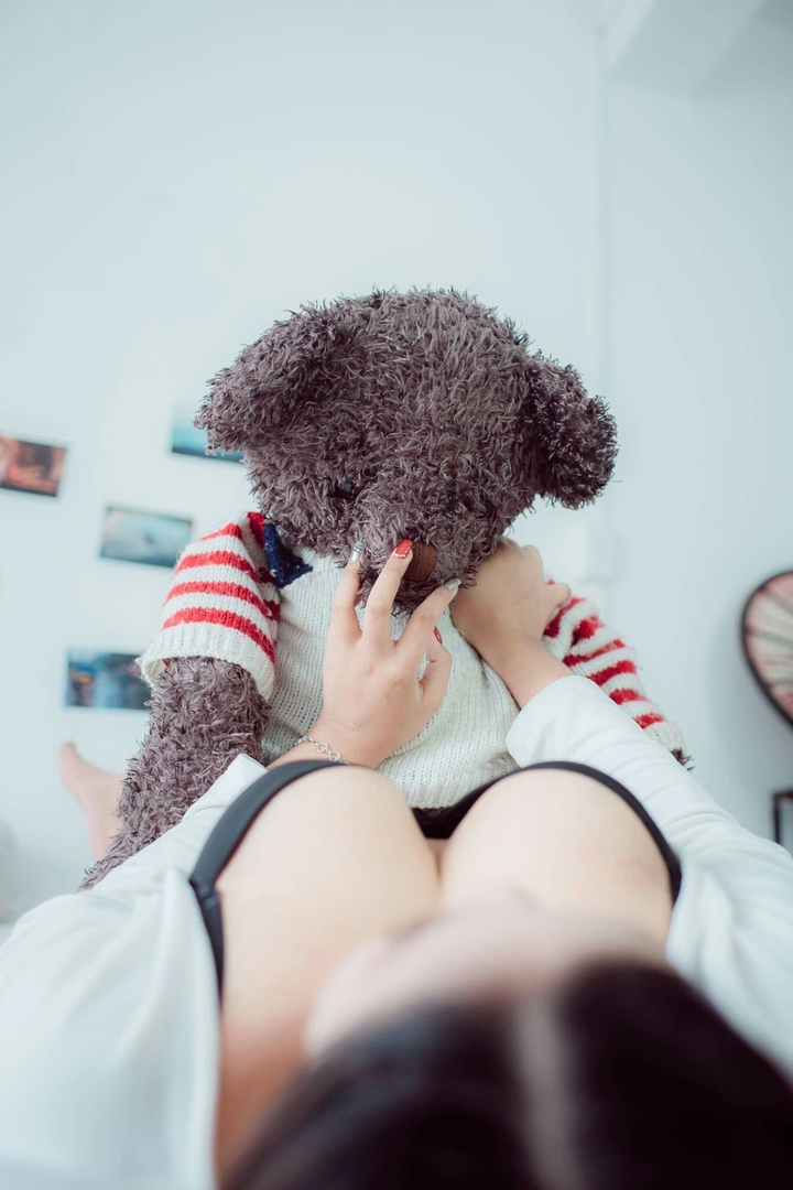 cute Teddy 