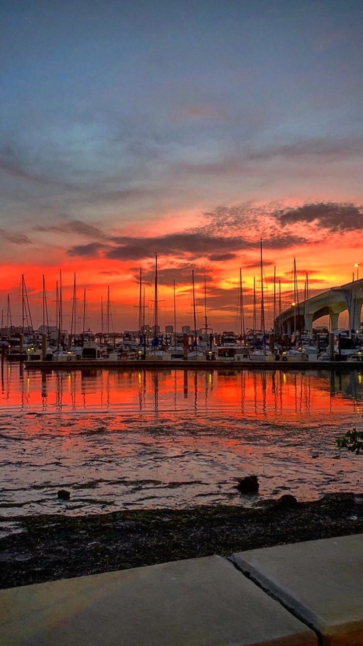 Marina Sunset