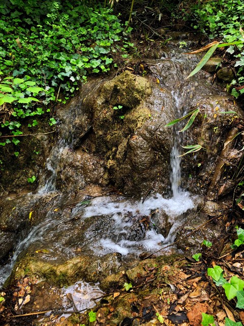 a little waterfall