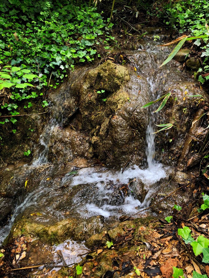 a little waterfall