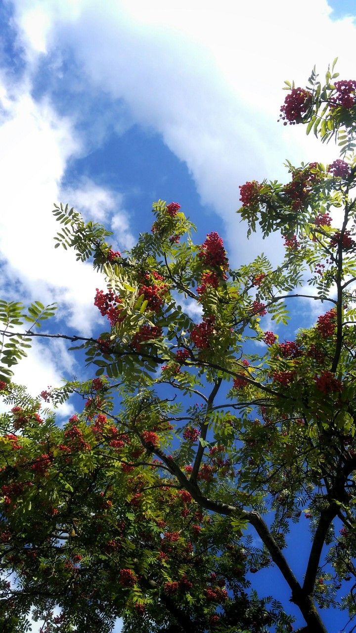natural contrast