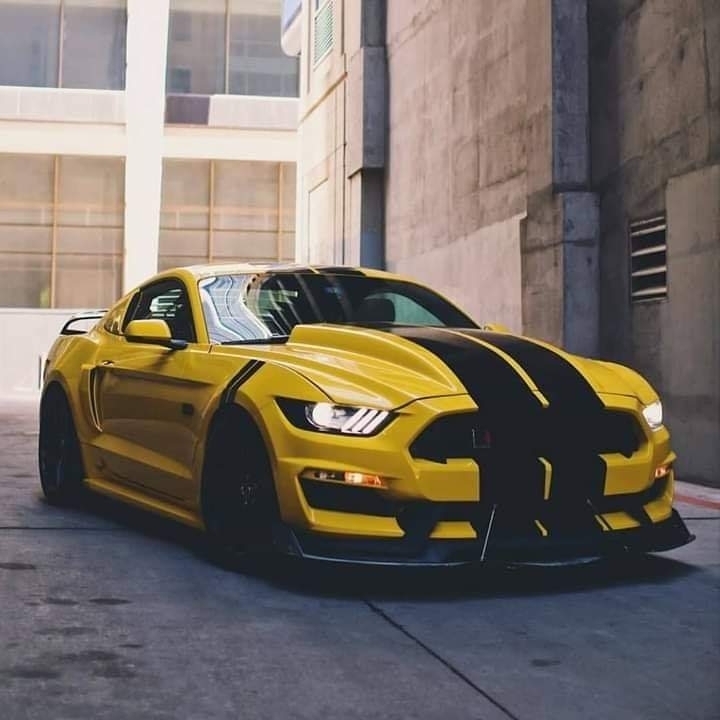 ford Mustang henesy