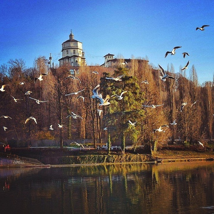 Torino