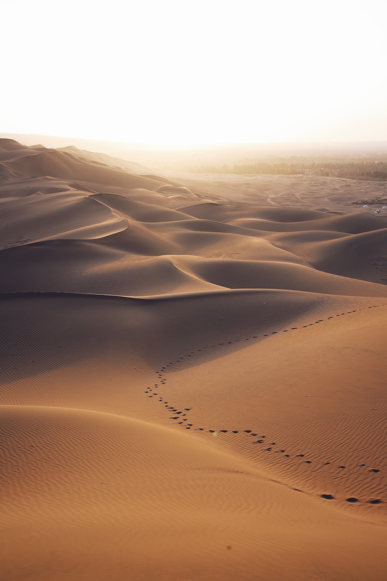 шпалери sky, Desert