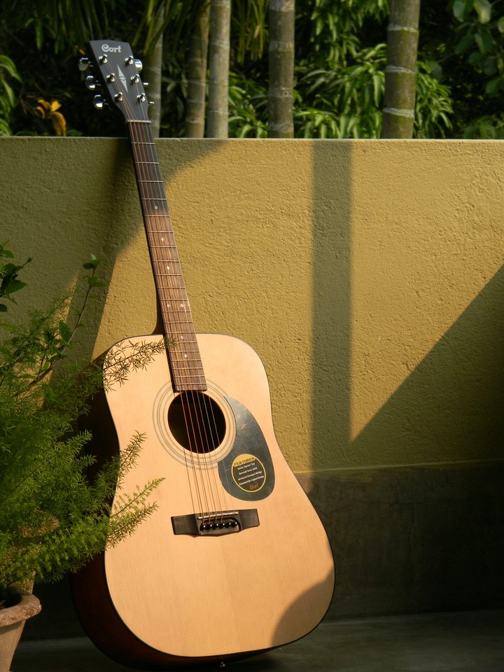 Guitar