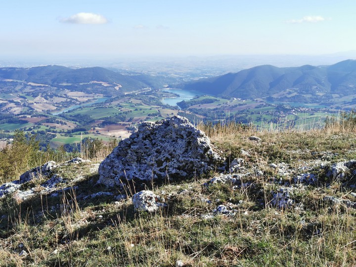 My Land