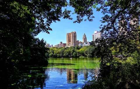 Central Park