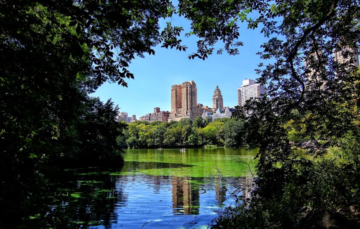 Central Park