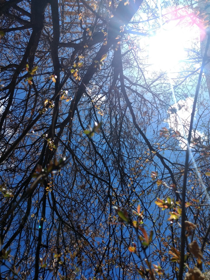 tehran blue sky by eli