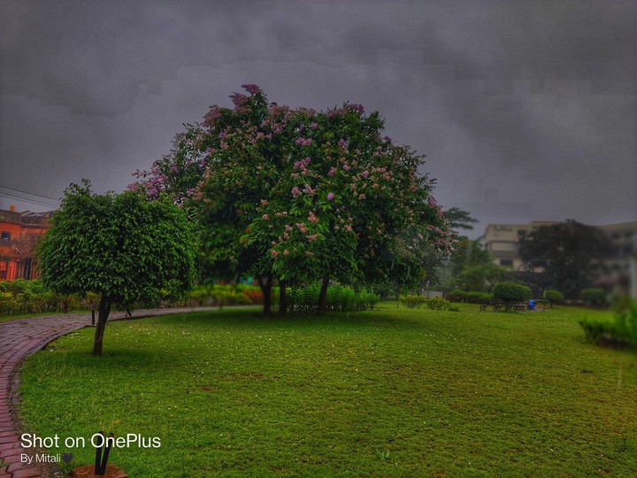 Campus..!❤️❤️