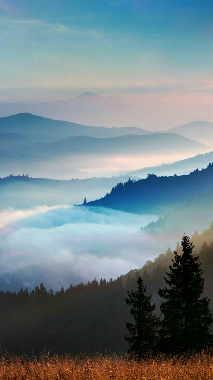 nature