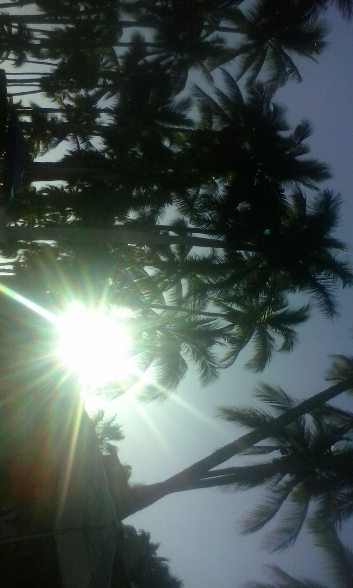 beatiful