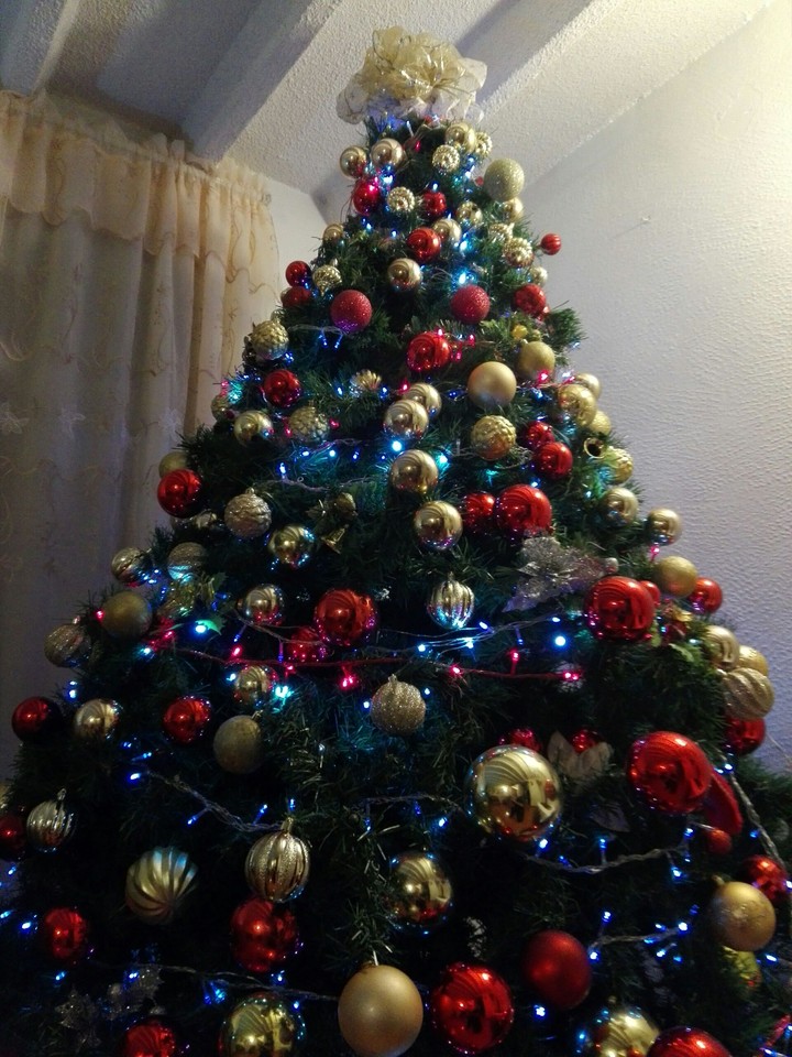 Navidad