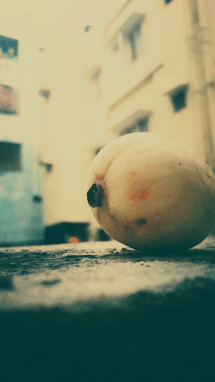 fruits
