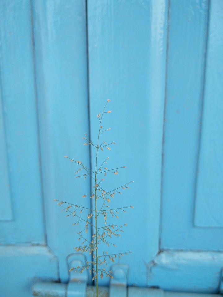 Locked nature