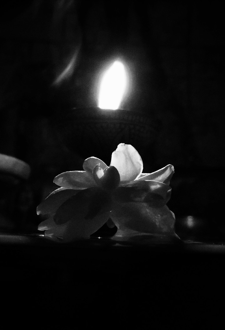 dark flower