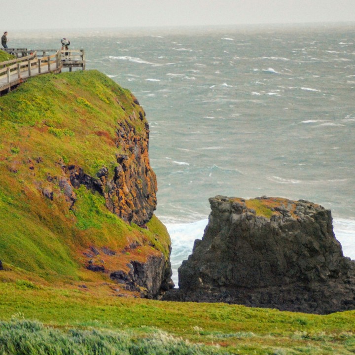 Philip Island