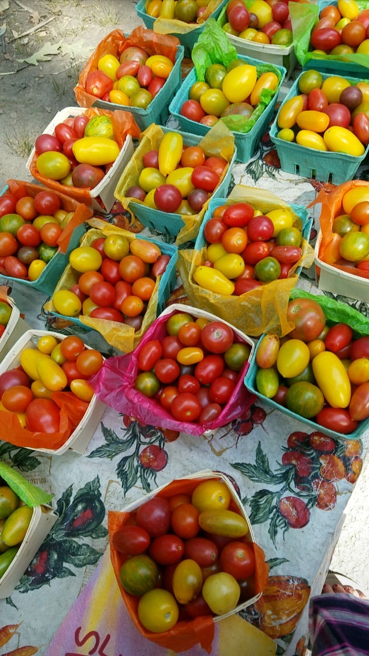 Tomatoes!