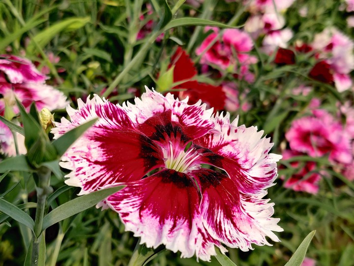 ♾️