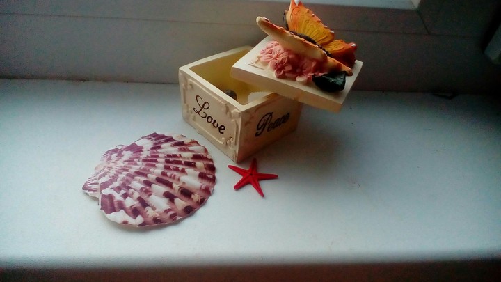 seashells...