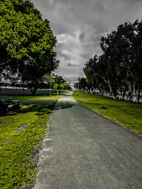 Pathway to Peace.