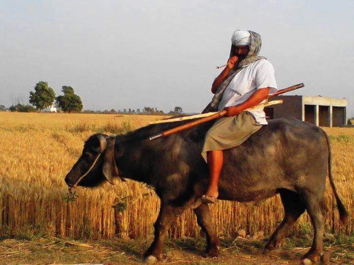 villages travel transport