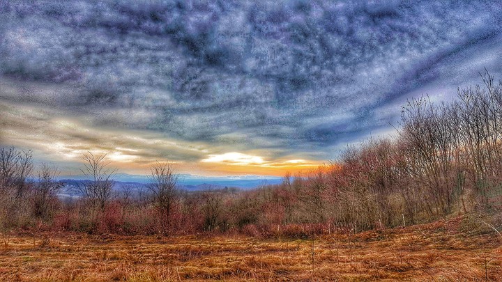Nature