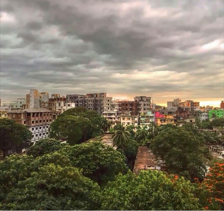 City Buildings In Nature