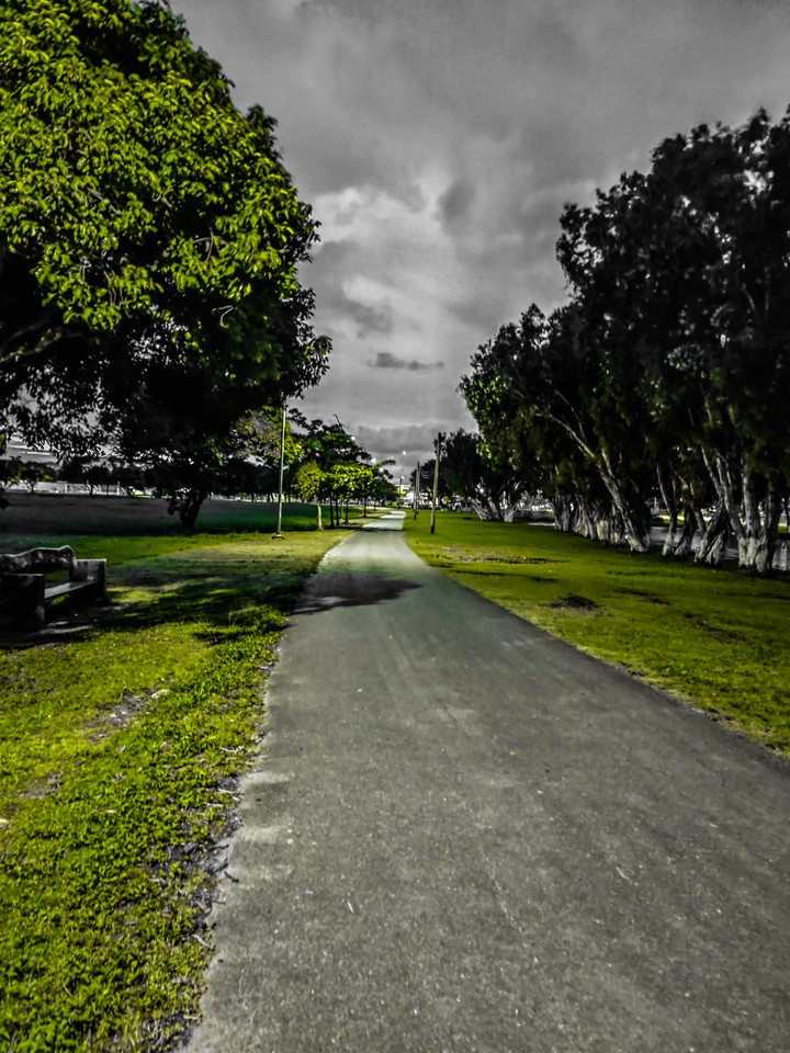 Pathway to Peace.