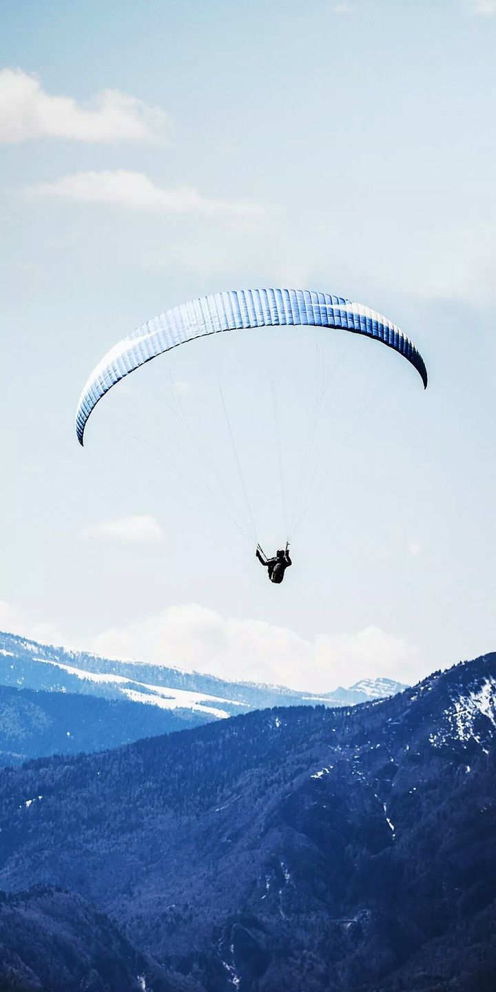 fly