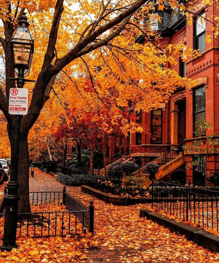 Autumn