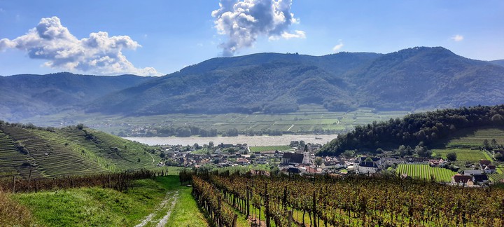 Spitz Wachau