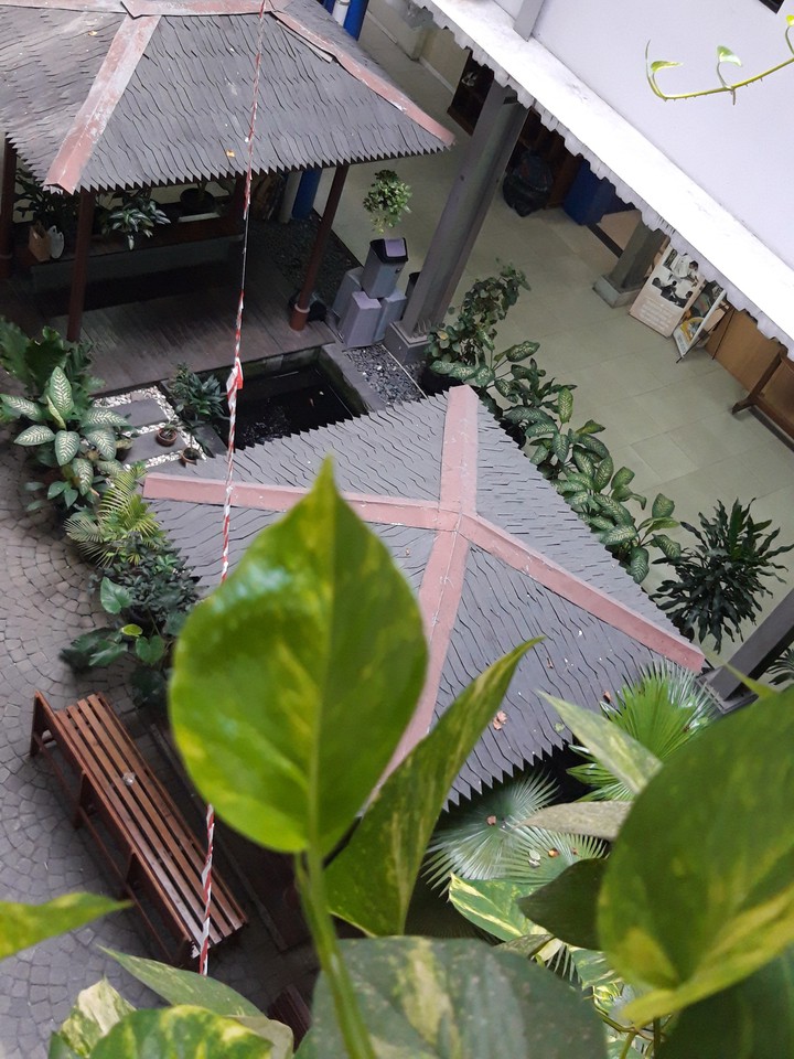 • My School •