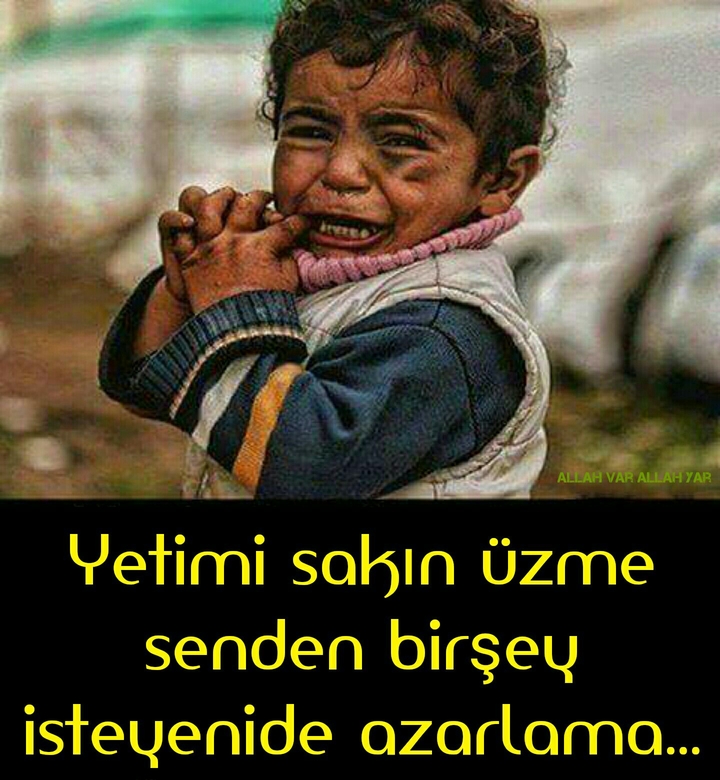 özlü sözler