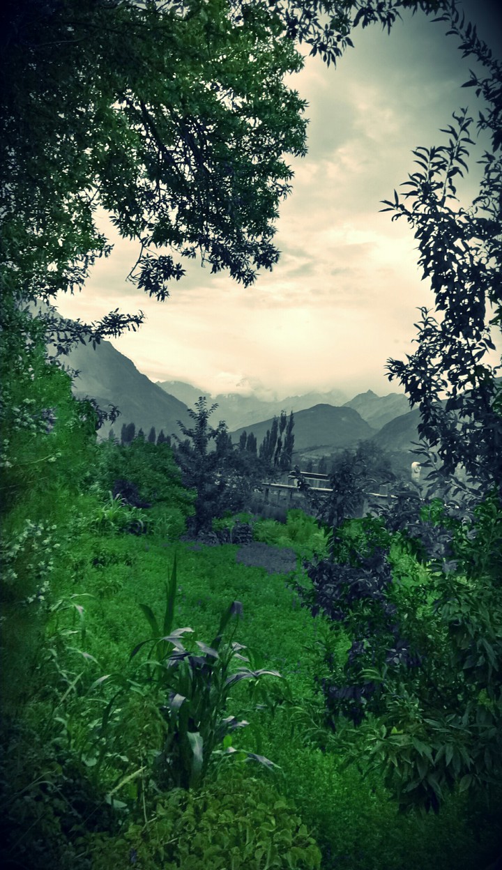 hunza Gilgit Baltistan