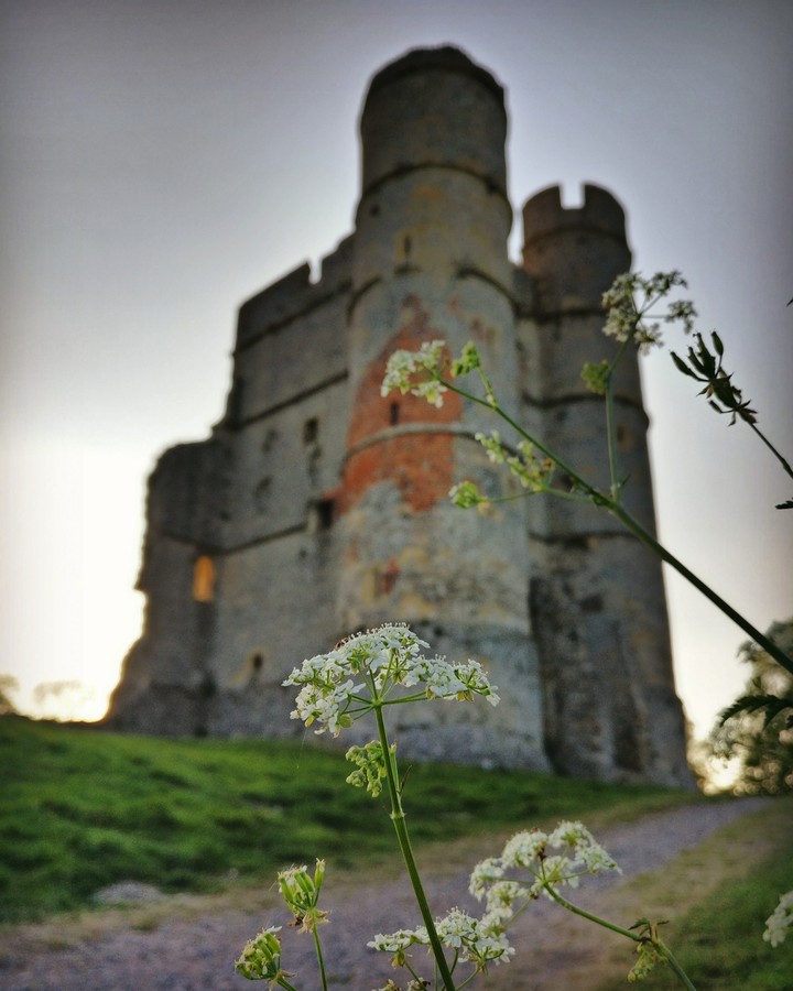 Donnigton Castle