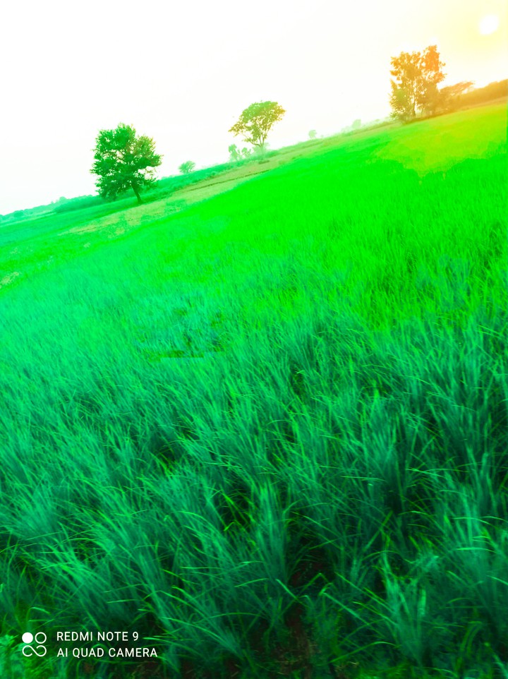 green