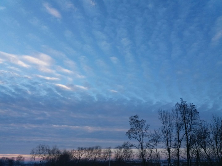 Sky