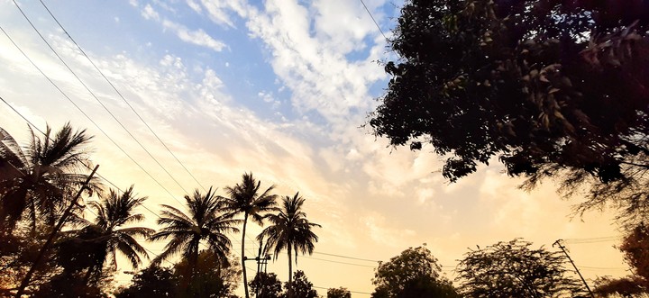 Good Morning