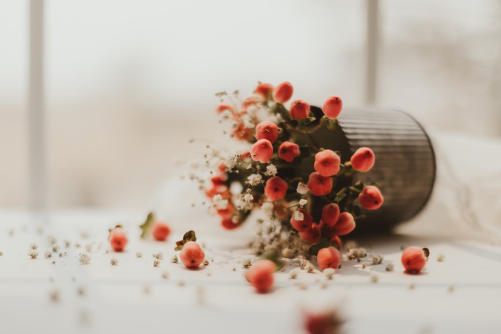 flowers