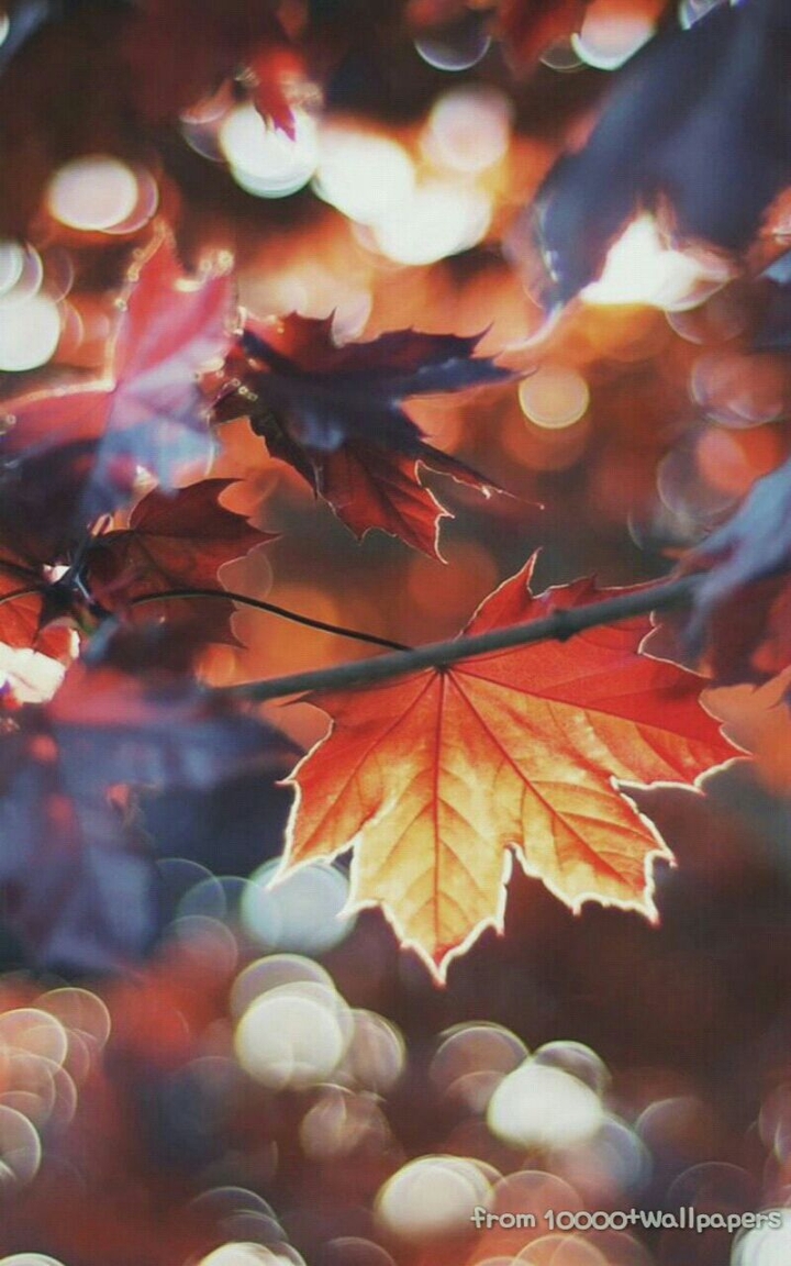 Autumn
