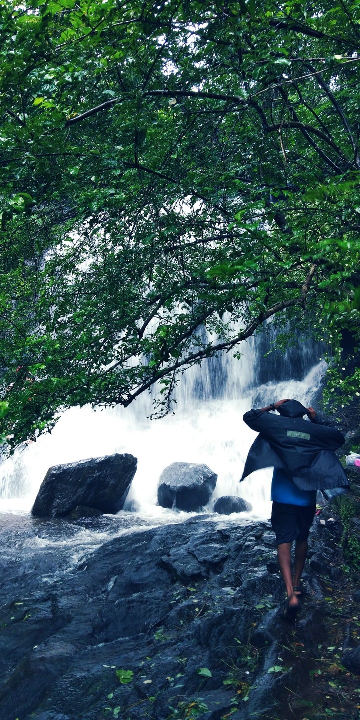 Nature love
