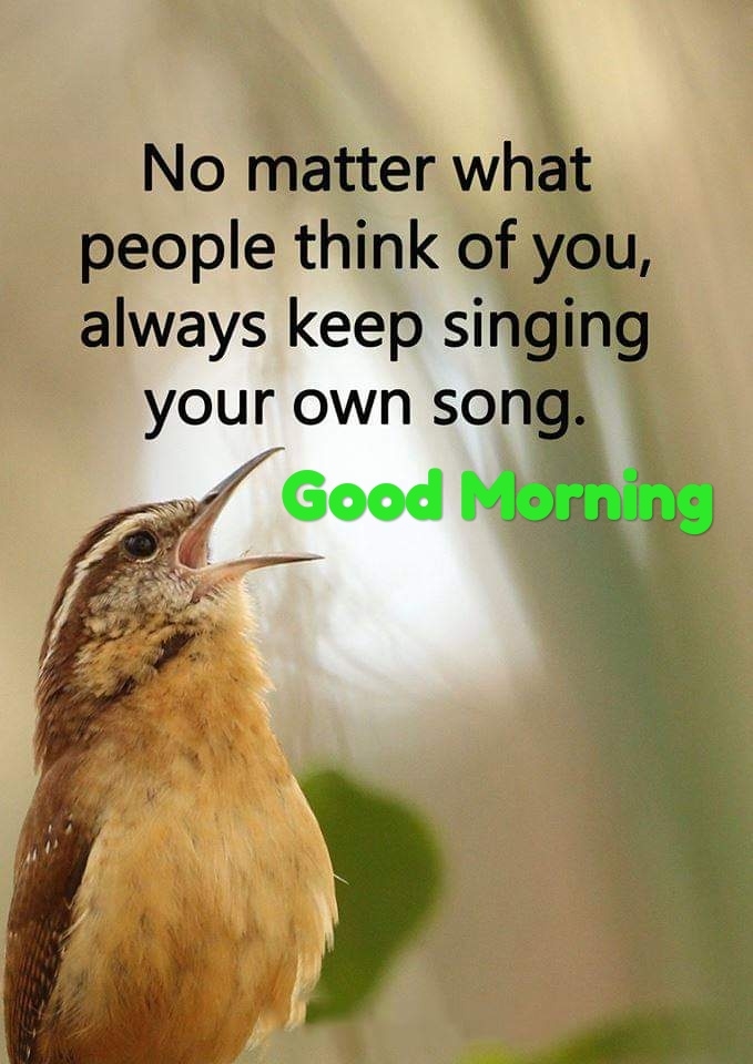 good morning