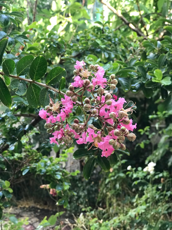 after rainy day