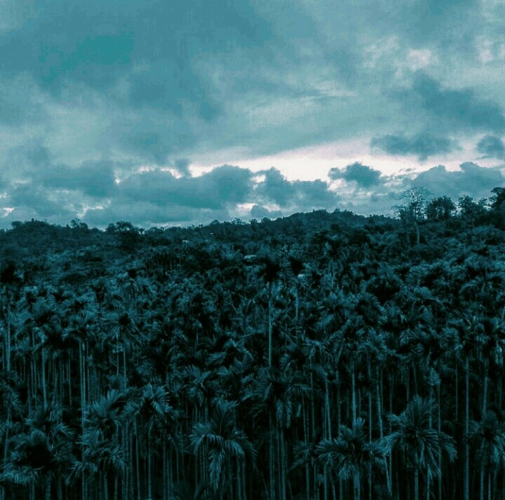 sky nature